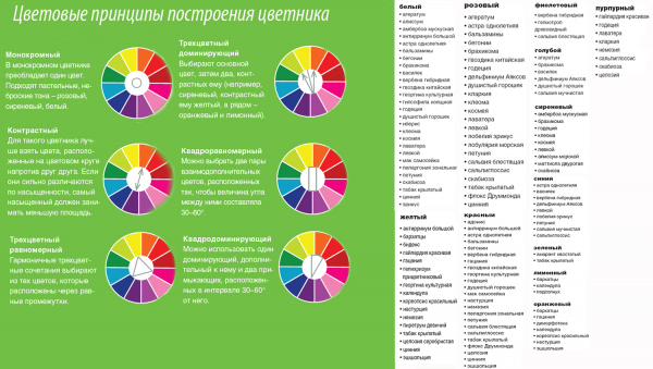 Лилейники в саду и цветниках, выбор компаньонов и с чем сажать